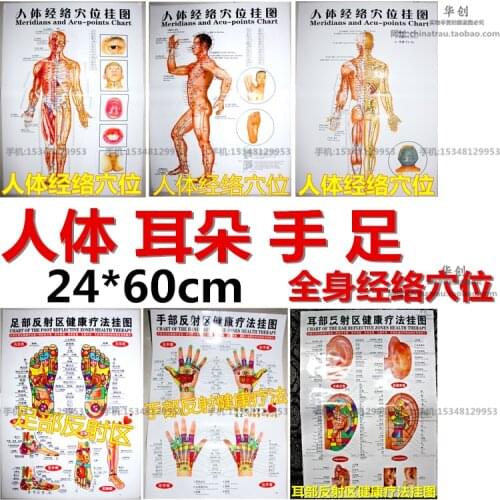 HD human body acupuncture point meridian full set of standard full-body massage health care