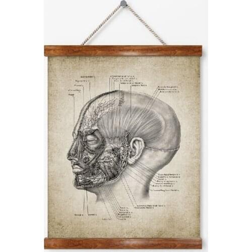 Head Anatomy Retro Poster Print , Vintage Human Head Illustration Wall Art Canvas Painting Medicine Picture Doctors Office Decor