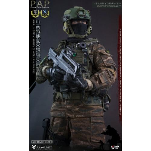 1/6 Male Clothing Set Chinese Armed Police Special Forces Flagset FS73026 For 12" Action Figure Body