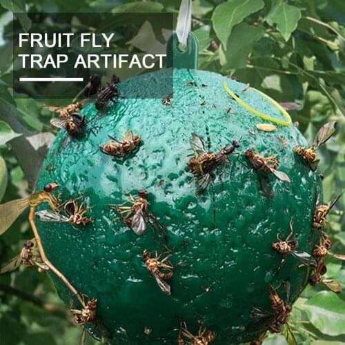 10Pcs Fruit Fly Artifact Trap Sticky Trap Flies Outdoor Fly Trap Trap Pest Control Products Fruit Tree Garden with Twist Tie