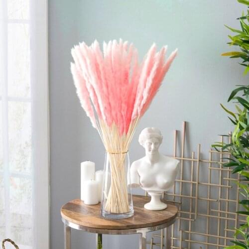 Natural dried flower small pampas grass reed DIY artificial flower decoration family wedding rabbit tail grass real flower decor