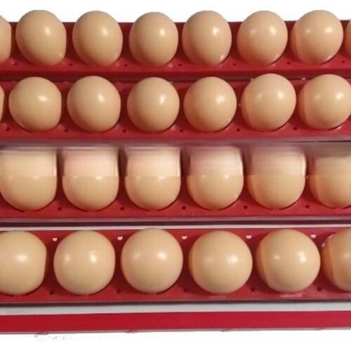 Cheap chicken inkubator 32eggs(8eggs,12eggs,48eggs,72eggs,96eggs)