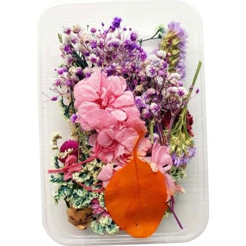 Assorted Real Pressed Dried Flowers Petals Crafts DIY Candle Nail Art Decors