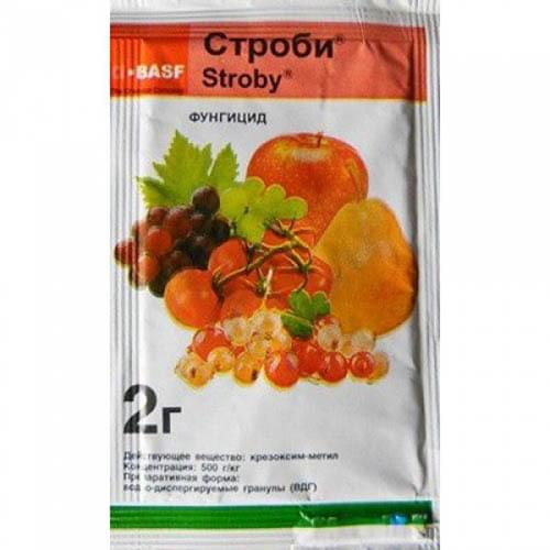 BASF/BASF Garden Sprayers