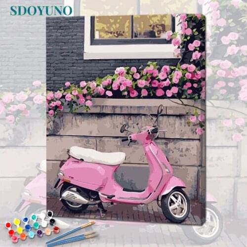 SDOYUNO Paint By Numbers For Adult Flower Scenery DIY Oil Painting By Numbers On Canvas 60x75cm Frame Number Painting Home Decor