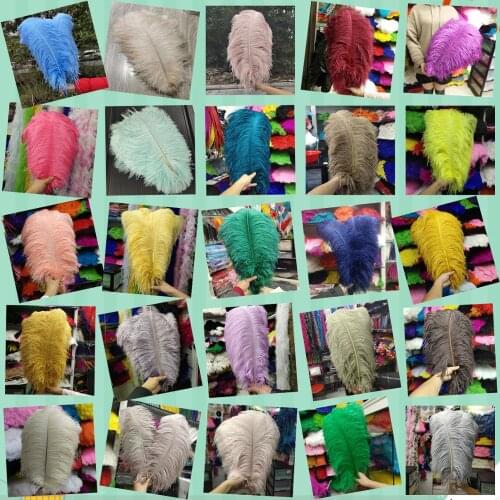 Hot Selling 500pcs 25 Colors ostrich feathers 12-14inches / 30-35cm Wedding/Dance recital/Party/Halloween/Home decoration