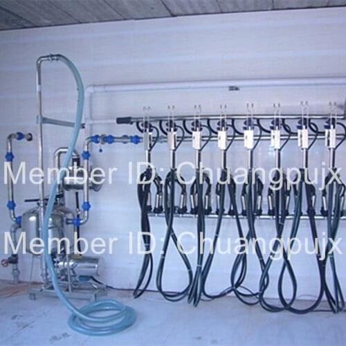 Fish bone Pipeline Cow Milking Parlor