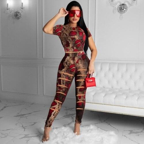 Snake Print Bodycon 2 Piece Set Women Spring Short Sleeve Crop Top Hollow Out Pants Set Streetwear Sexy Club Outfits for Women