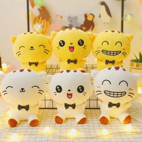 Cute big - faced cat stuffed toy little cat doll creative birthday gift