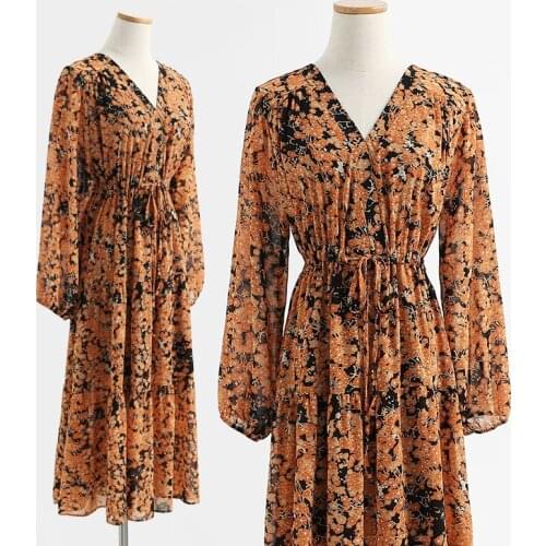 Women Chiffon Long Dress Floral Print A-line Maxi Vestidos Autumn New Elegant Vintage V Neck Winter Dresses