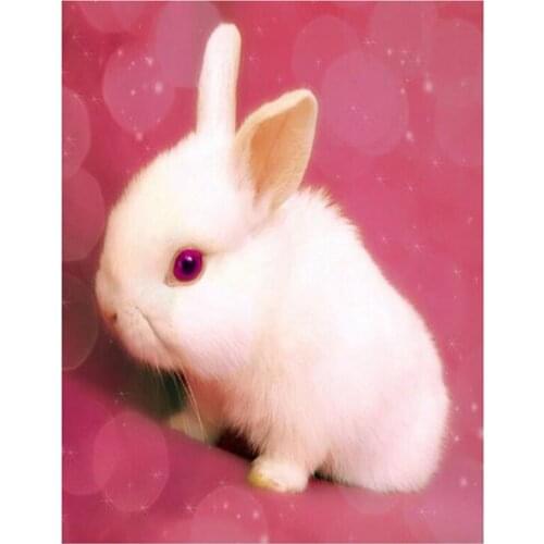 Full 5D Diy Full Square/Round Drill White Rabbit Diamond Painting Handmade Cross Stitch Embroidery Wall Arts Decor FH680