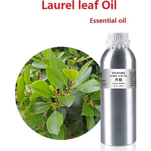 Cosmetics 50ml/bottle Laurel leaf Oil essential oil organic cold pressed vegetable plant oil Scraping, massage skin care