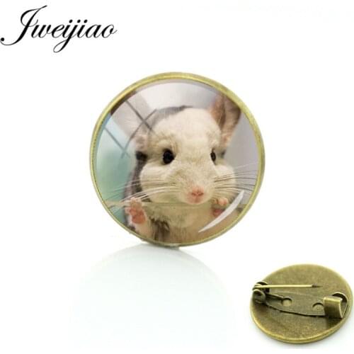 JWEIJIAO New 20mm Pet Cat Totoro Brooches Glass Cabochon Dome Antique Bronze Metal Badge Clothes Bag Pin Decoration QF911