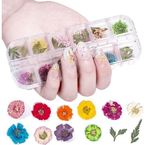 3d Natural Daisy Gypsophila 12 Grid Nail Art Decorations DIY Stickers Dried Flowers Manicure Accessories Beauty Tools