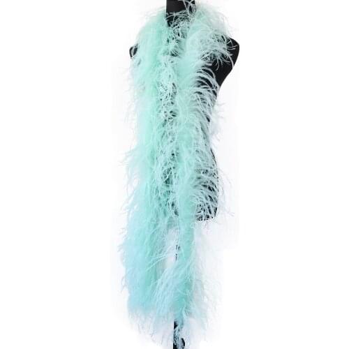 3Ply Mint Ostrich Feathers Boa Trim 2 Meters Dyed Fluffy Plumes For Wedding Dress Clothes Shawl Decoration Accessories Crafts