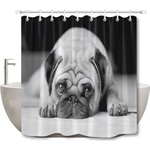 72'' Bathroom Waterproof Fabric Shower Curtain Polyester 12 Hooks Bath Accessory Sets Pug Dog Lying On Carpet Retro Black White