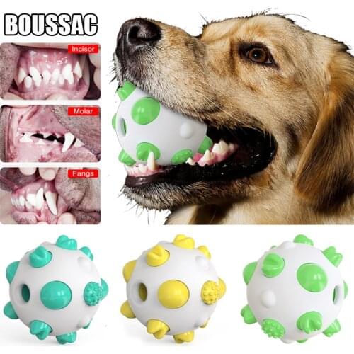 Pet Dog Toys Bite Resistant Toothbrush TPR Molar Tooth Cleaning Balls Puppy Chew Toy for Small Large Dogs Interactive Training
