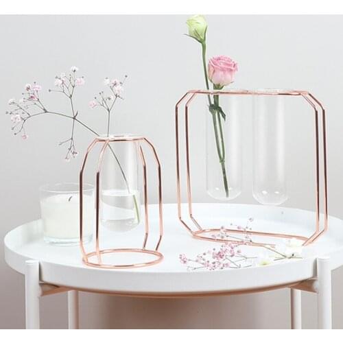 1Pcs Nordic Gold/Rose Gold Glass Vase Iron Hydroponic Plant Flower Vase Tabletop Coffee Shop Office Home Decoration Party Gifts