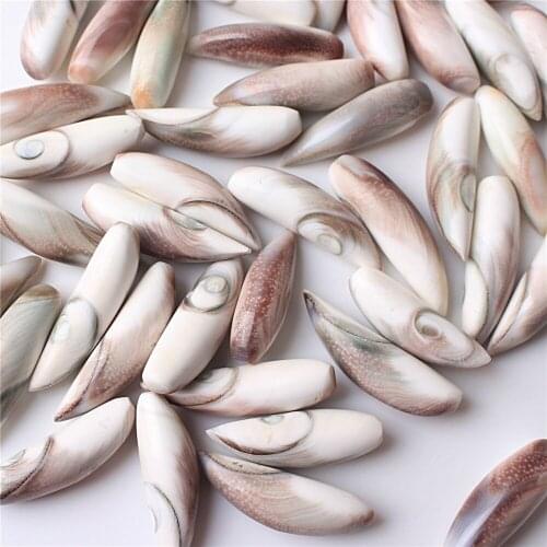 Wholesale Natural Sun Shell Stone Pendant Animal Tooth Shaped Sticks Points Jewelry Making Gift