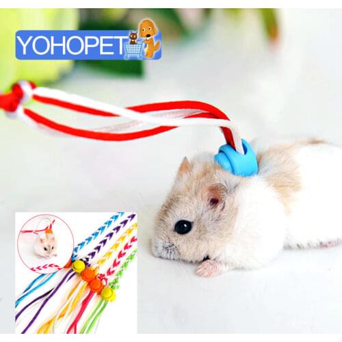 PETruler Animal Care Items