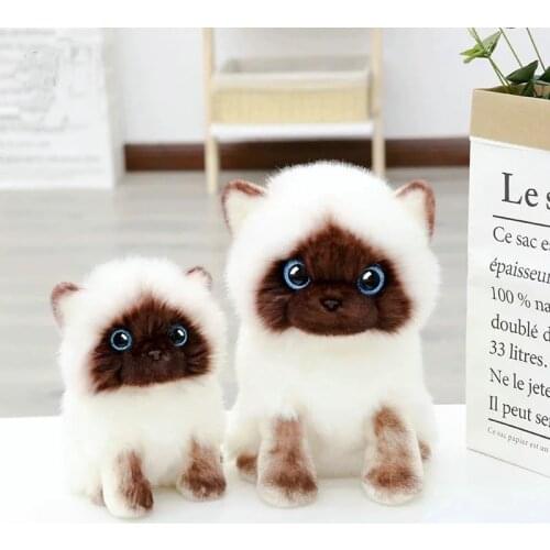 20/26CM Simulation Cute Siamese Cat Plush Toy Blue Sequins Eyes Cats Doll Brown And White Face Ragdoll Cat Home Decor Best Gift