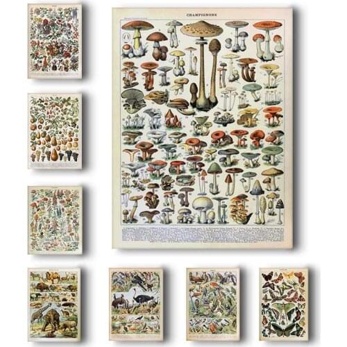 Poster Home Decor Stickers 6PCS Animals Plants Retro Poster Biology Illustration Teaching Study Living Room Canvas Painting