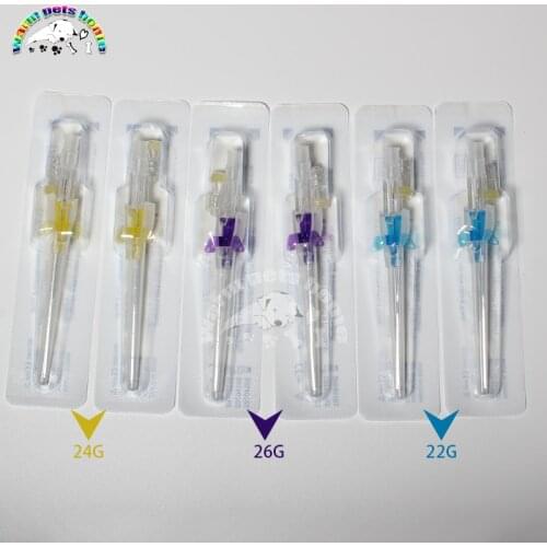 Disposable Dog Cat I. V. Cannula Animal Catheter Pet Catheters with Heparin Cap 22G 24G 26G Veterinary Tools