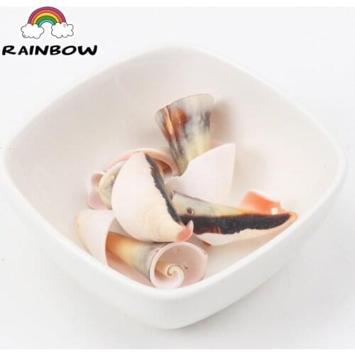 Natural Spiral Shell Loose Beads For Decoration Jewelry Making DIY Accessories 30-40mm 5pcs