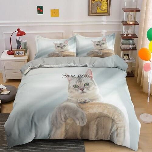 Cute Fun Cat Down Quilt Covers with Pillowcases Deluxe Single Double Queen King Size Bedding for Children Bedroom Bedding
