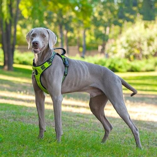 Durable Reflective Pet Dog Adjustable Harness Big Dog Harness Pet Walking Harness For Small Medium Large Dogs Pitbull