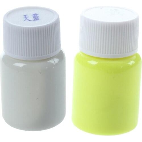 2x 20G Glow in the Dark Acrylic Luminous Paint Bright Pigment Party Decoration DIY Sky Blue & Golden Yellow