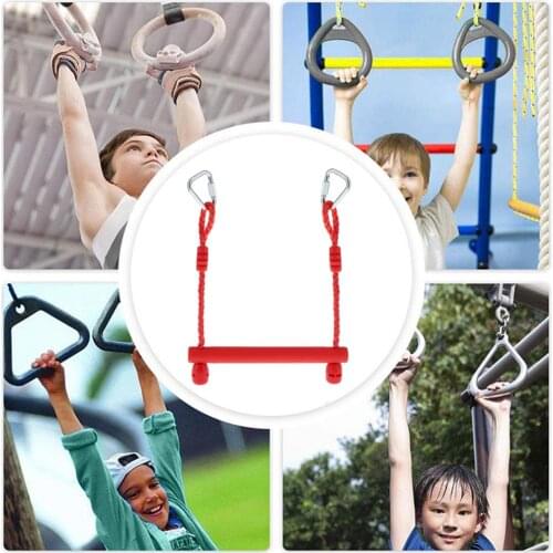 Outdoor Indoor Playground Swingset, Metal Rings, Bar, and Swinging Rope