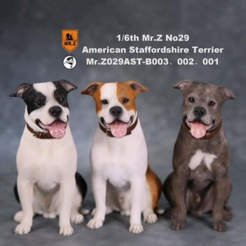 Mr.Z Pet Dog Model 1/6 scale No.29 American Staffordshire terrier Dog simulation animal model toy For 12' action figure doll