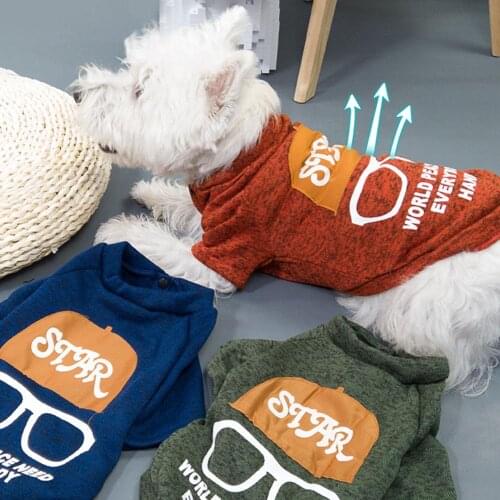 New Style Teddy Dog Cat Pet Glasses Clothes New Arrival Autumn and Winter Dog Outfit No Hat Sweater Cute Dog Fashion Hoodies