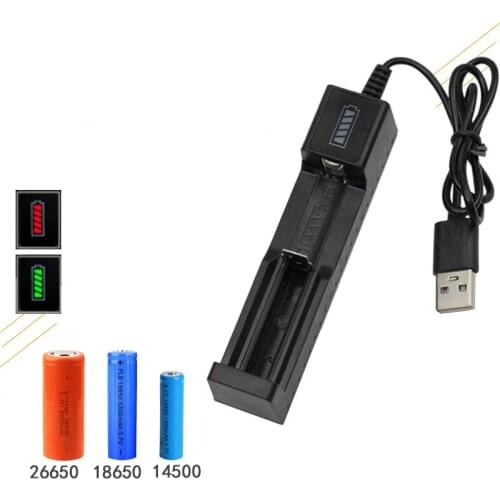 Larryjoe Battery Chargers