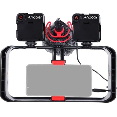 Andoer Smartphone Video Rig Smartphone Cage 2*Mini LED Video Light+Microphone Shock Mount for Vlog Recording Live Streaming