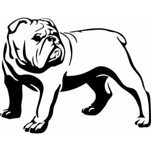 Car Sticker Funny Olde English Bulldog Bully Dog Decal Car Sticker PVC Decorative Sticker Creative Black/White, 16cm*12cm