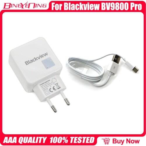 USB Power Adapter Charger EU Plug Travel Type-c Cable Data Line Charging Cable For Blackview BV9800 Pro/BV9900/BV9900 Pro