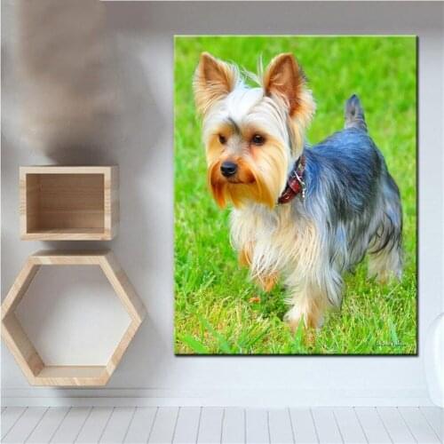 Full dril square round diamond painting Yorkshire Terrier cross stitch animal scenery 5d diamond mosaic rhinestone embroidery