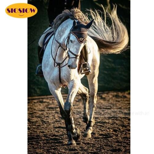 SIOSIOW Diamond Painting Horse Crystal Full Drill Square Diamond Mosaic Embroidery Decoration Home Wall Pictures For Living Room