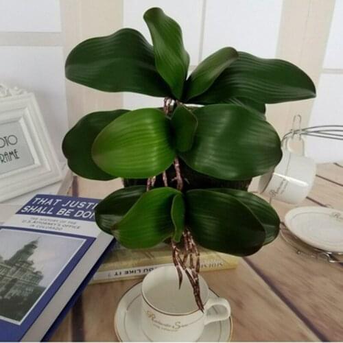 1pcs real touch phalaenopsis leaf artificial plant leaf decorative flowers auxiliary material flower decoration Orchid leaves