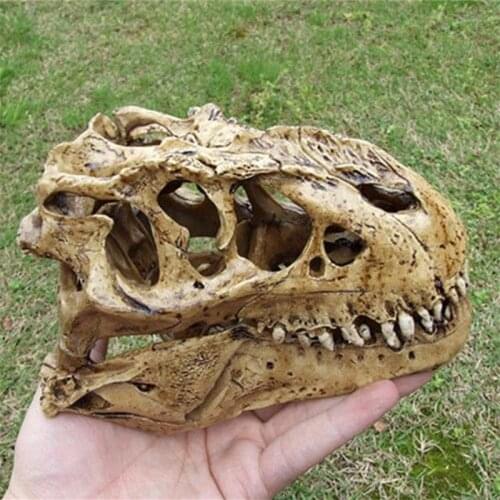 CRAFTS ARTS CRAFTS RETRO N 1/12 TYRANNOSAURUS SCALE RESIN DINOSAUR SKULL MODEL COLLECTIBLE