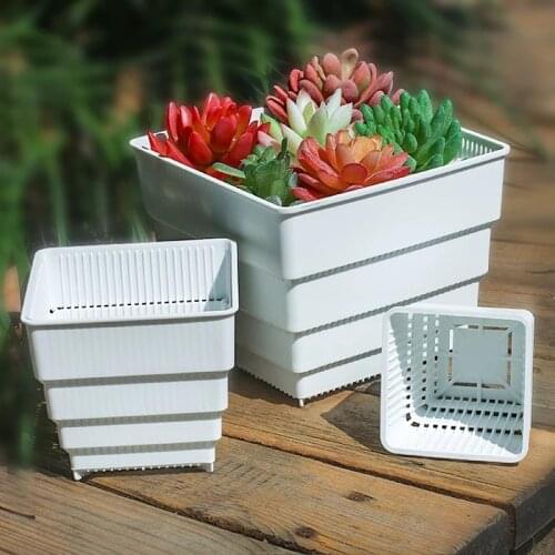 Meshpot 6 Pack Succulents Pot Plastic Flower Pot Planter Cactus Seedlings Nursery Container Inner Dia. 6cm/7cm/10cm/12 cm /15