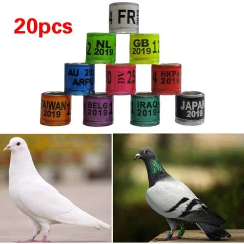 20pcs/lot Pigeon Rings Digital Bird Foot Ring Bird Parrot Pigeon Leg Clips Identify Number Bands Supplies Training Tools