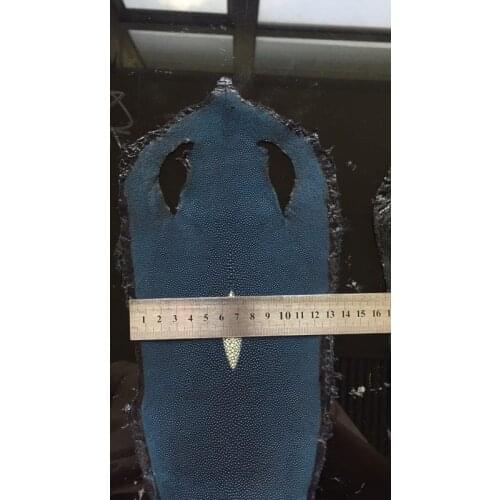 Dark blue Grained Genuine Stingray Leather Skin Piece for Phone Pad/ Wallet/Shoes,Free Shipping