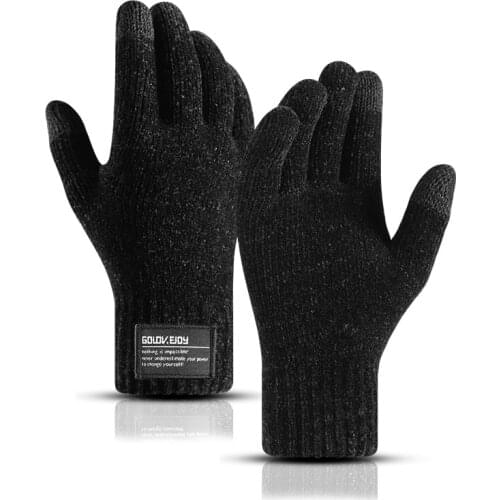 Polar Fleece Gloves Mens Winter Outdoor Double Layer Plus Fleece Thickened Chenille Windproof and Warm Touch Screen Gloves