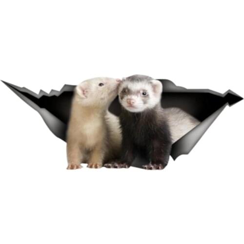 Personality 3D Car Sticker Ferret Pet Animal Decals Auto Accessories Car Window Waterproof PVC 13cm X 6cm