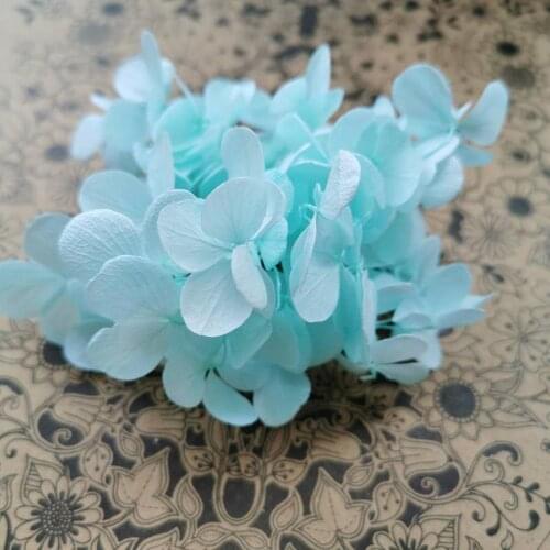 10g/lot,Grade A Eternal Preserved Atlantist Hydrangea head,Real rose flowers for wedding party decoration,DIY flower Headwear