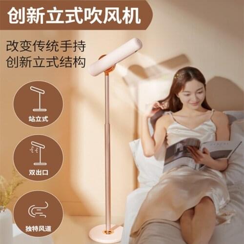 Pinshile Household Vertical Hair Dryer Liberating Hands Negative Ion Hair Care High-power Quick-drying Floor Hair Dryer