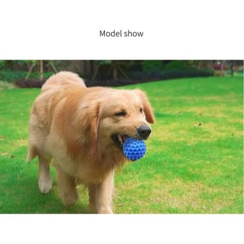 Holed Ball Toy Pet Dog Trainer Products Toys Vinyl Food Ball With Holes For Playing and Training Dog Toy with Squeaker Inside
